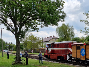 Zdjęcie przedstawia lokomotywę wraz z wagonem do przewozu rowerów. Po lewej stronie duże drzewo.